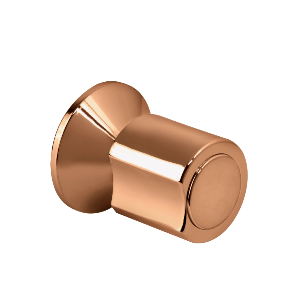 Acabamento de registro redondo Guajará Pingoo.casa - Dourado Rose Acabamento de registro redondo Guajará Pingoo.casa - Dourado Rose