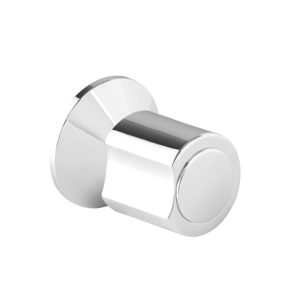 Acabamento de registro redondo Guajará Pingoo.casa - Prata