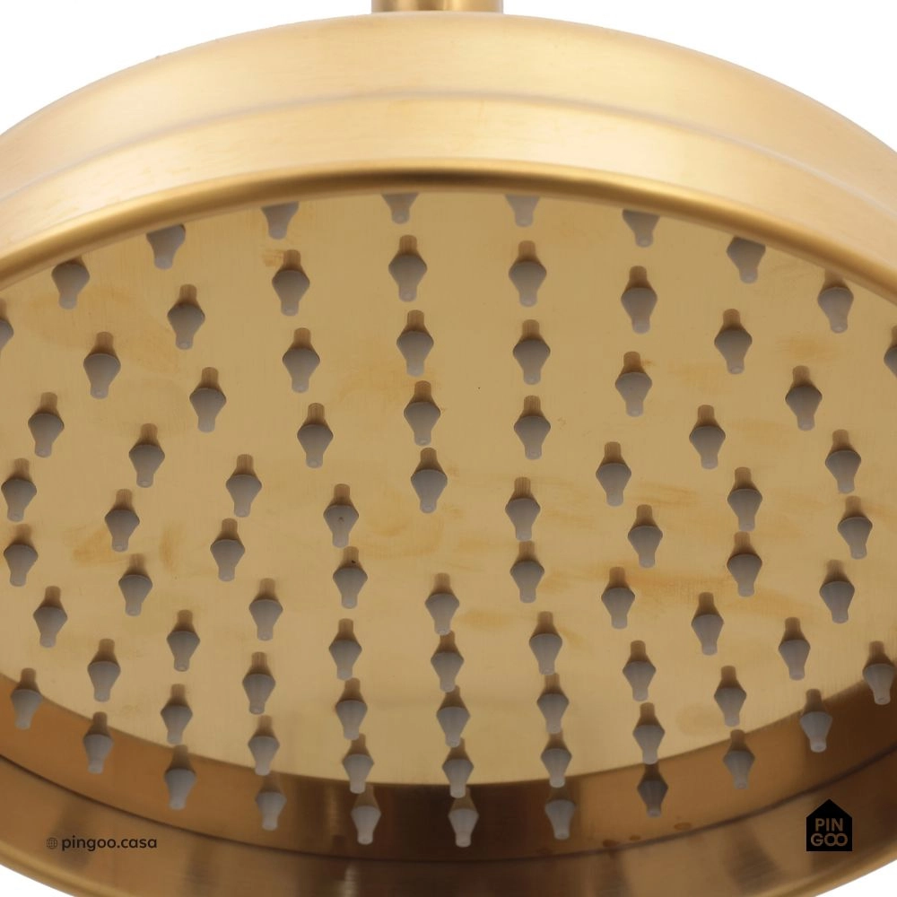 Ducha Chuveiro Redondo de Parede com desviador Trombetas Dourado