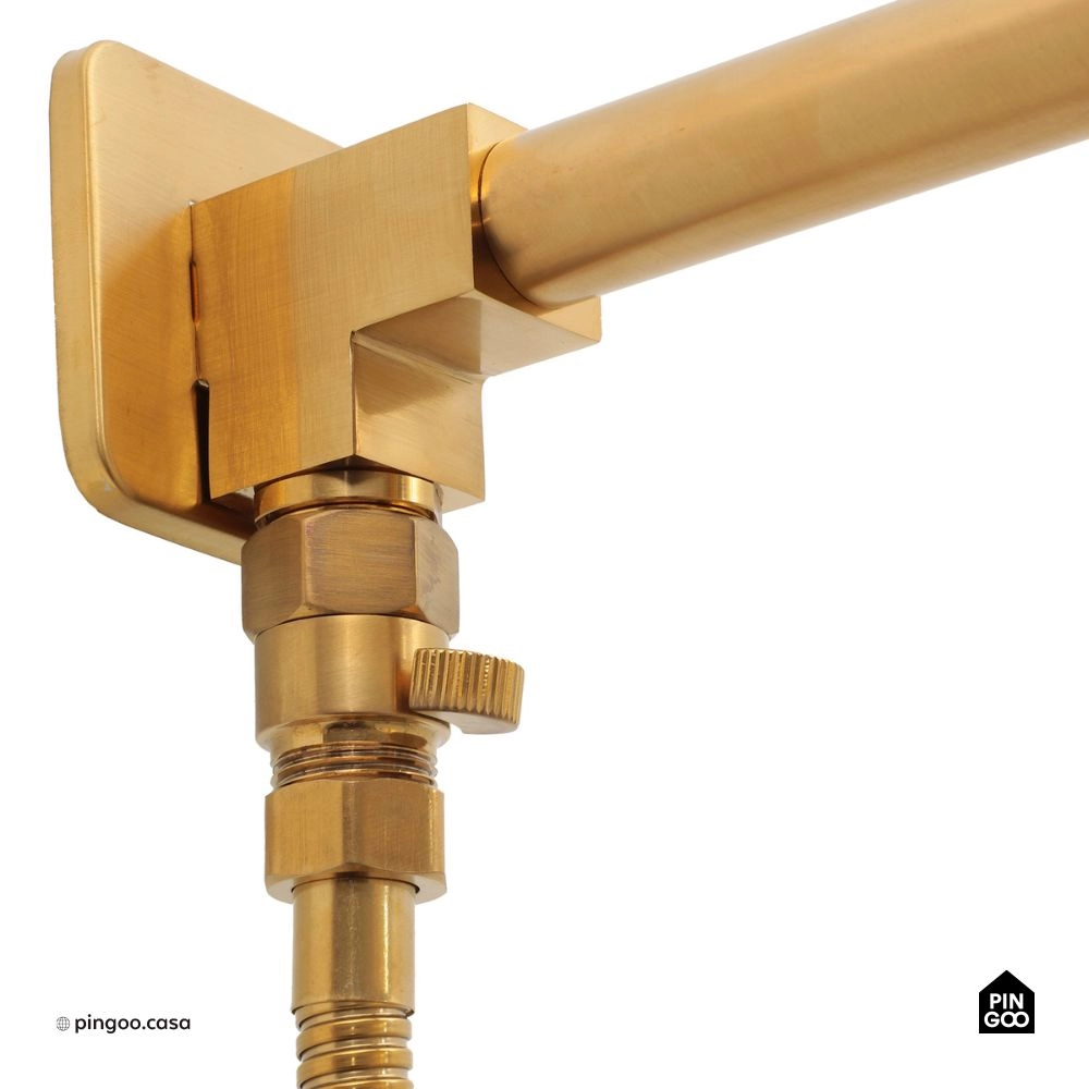 Ducha Chuveiro Redondo de Parede com desviador Trombetas Dourado