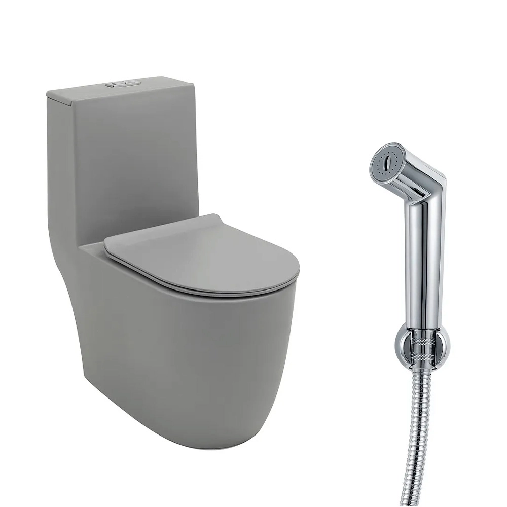 Kit Vaso Sanitário Monobloco Amazonita e Ducha Higiênica para Banheiro Apa - Cinza e Prata