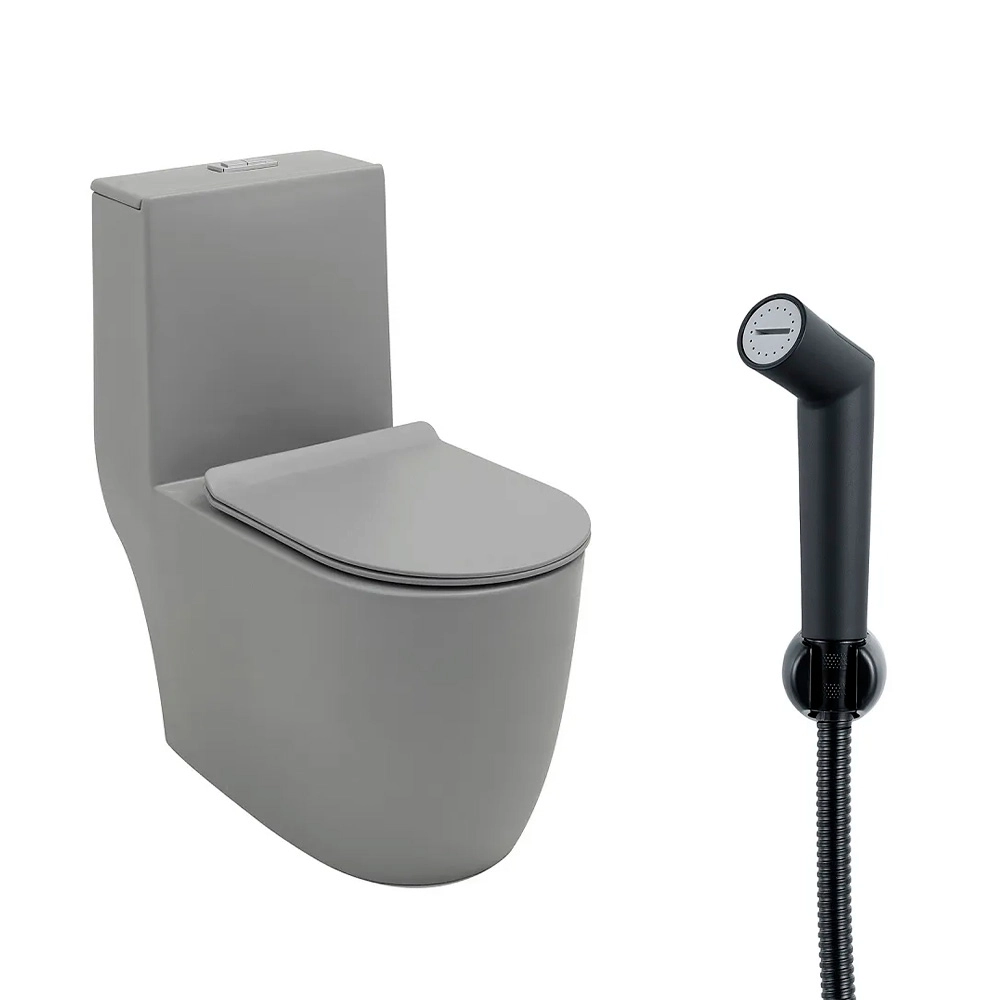 Kit Vaso Sanitário Monobloco Amazonita e Ducha Higiênica para Banheiro Apa - Cinza e Preto
