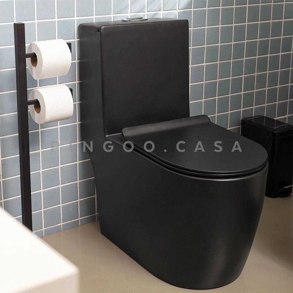 Kit Vaso Sanitário Monobloco Amazonita e Ducha Higiênica para Banheiro Apa - Prata e Preto