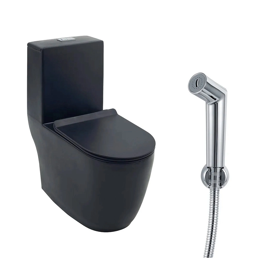 Kit Vaso Sanitário Monobloco Amazonita e Ducha Higiênica para Banheiro Apa - Prata e Preto