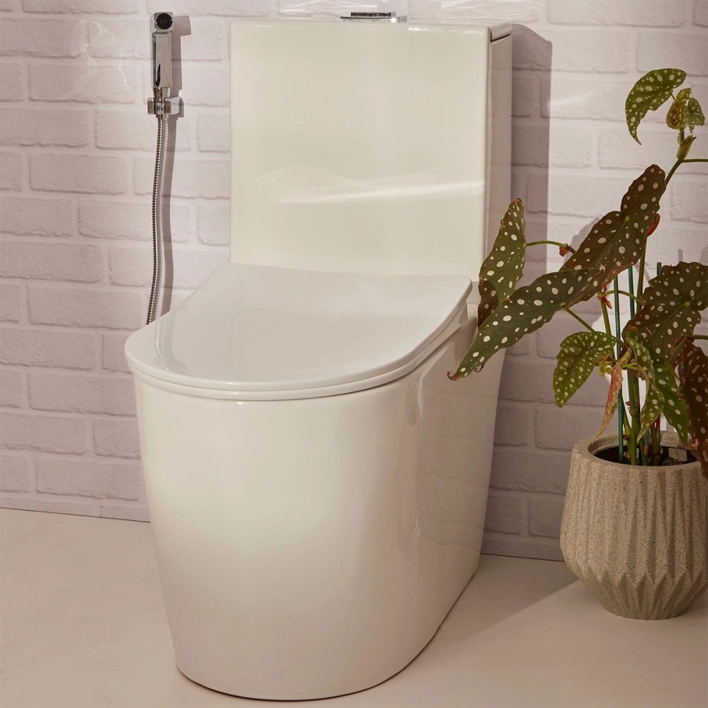 Kit Vaso Sanitário Monobloco Amazonita e Ducha Higiênica para Banheiro Jacuí - Branco e Prata