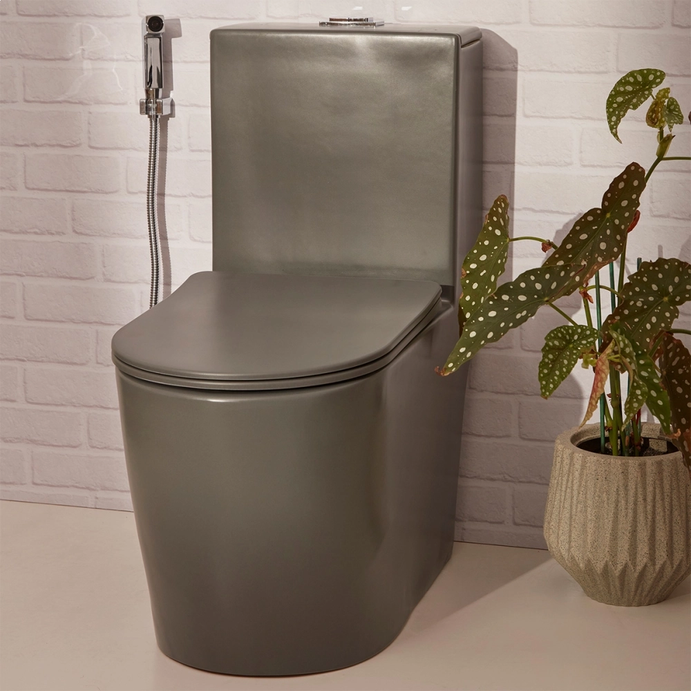 Kit Vaso Sanitário Monobloco Amazonita e Ducha Higiênica para Banheiro Jacuí - Cinza e Prata