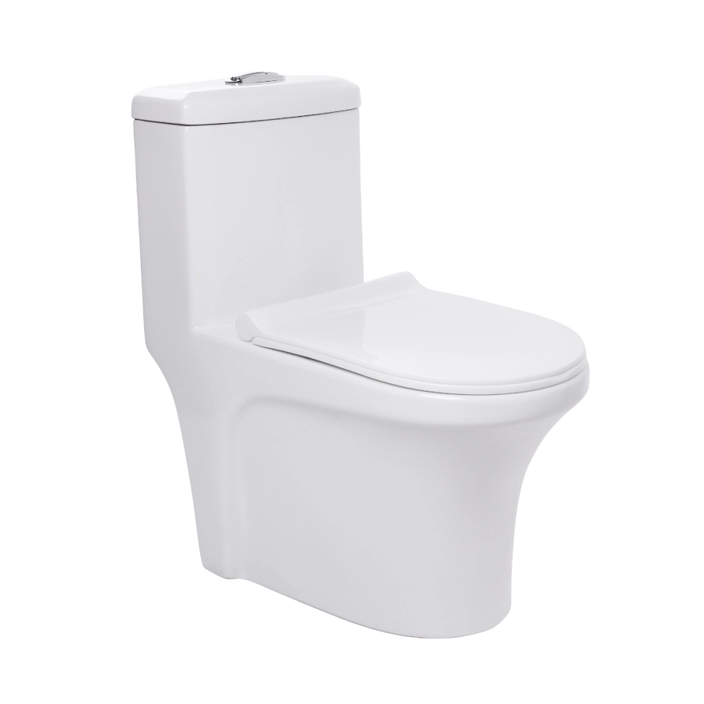 Kit Vaso Sanitário Monobloco Caixa Acoplada Barita e Ducha Manual Jacuí Pingoo.casa - Branco e Prata