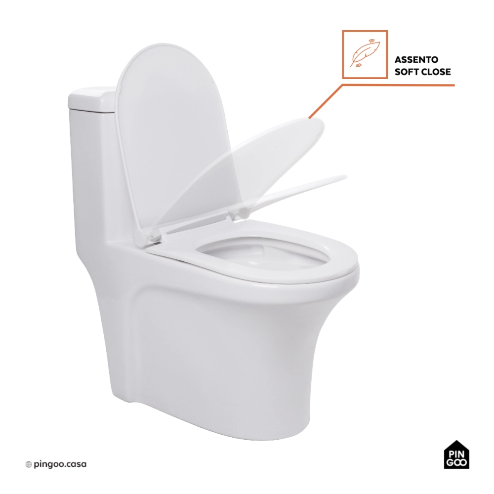 Kit Vaso Sanitário Monobloco Caixa Acoplada Barita e Ducha Manual Jacuí Pingoo.casa - Branco e Prata