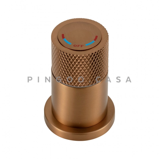 Torneira para Cozinha Gourmet Misturador Monocomando Com desviador Jucá Dourado Rose