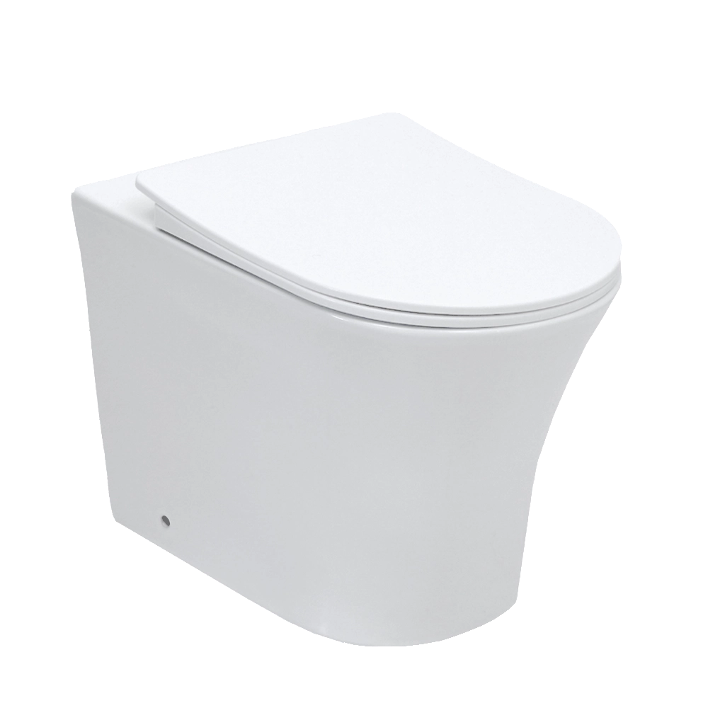 Vaso Sanitário Convencional Tanzanita Branco