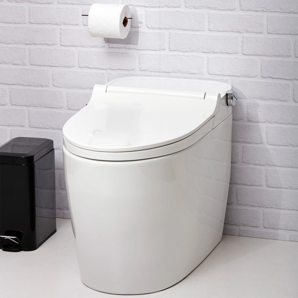 Vaso Sanitário Monobloco Caixa Acoplada Privada Bidê Celestita Branco