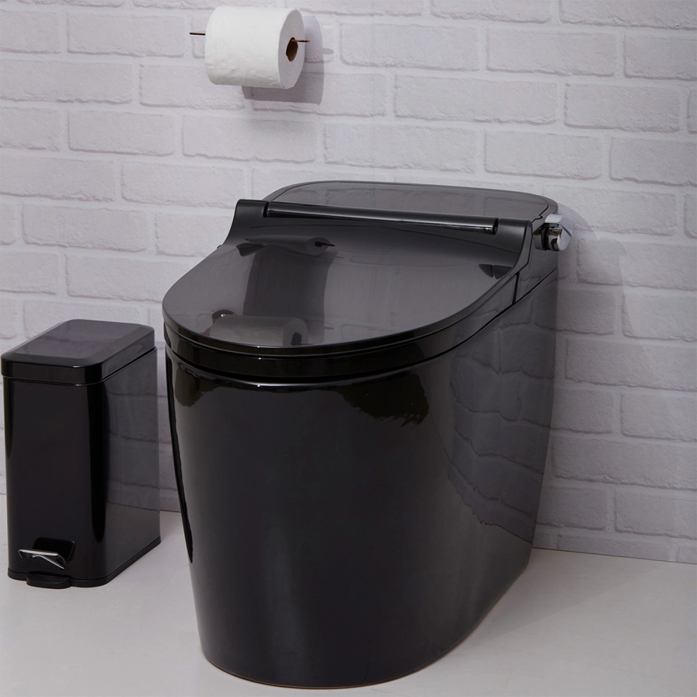 Vaso Sanitário Monobloco Caixa Acoplada Privada Bidê Celestita Preto