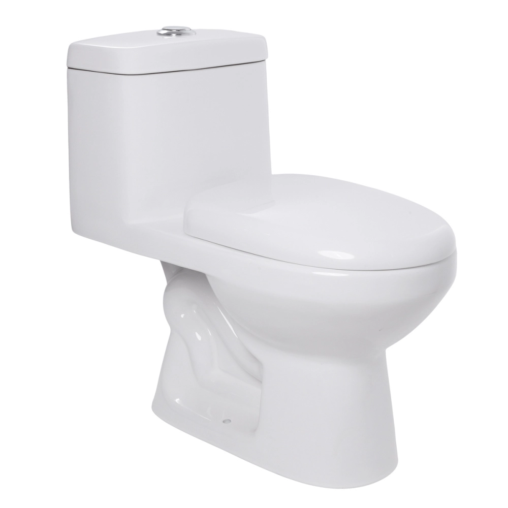 Vaso Sanitário Monobloco Caixa Acoplada Privada Taquaras Pingoo.casa - Branco