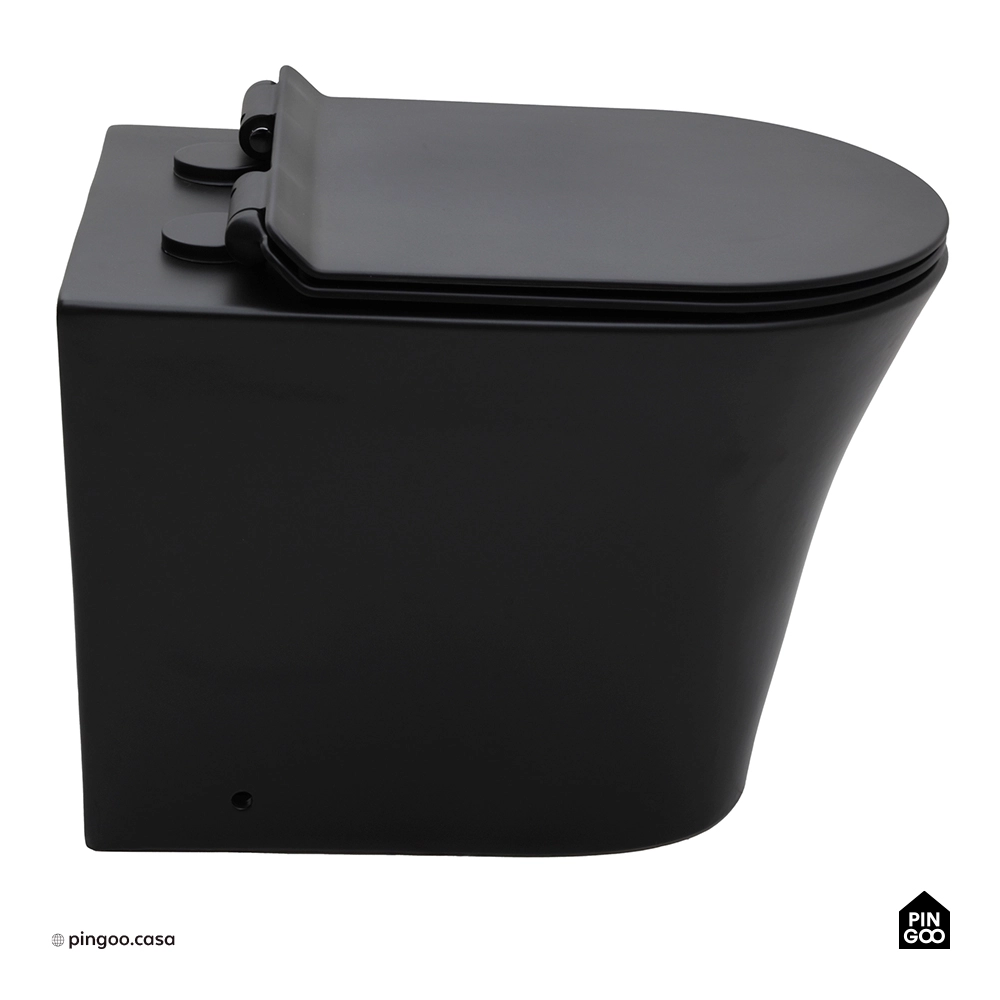 Vaso Sanitário Convencional Tanzanita - Preto