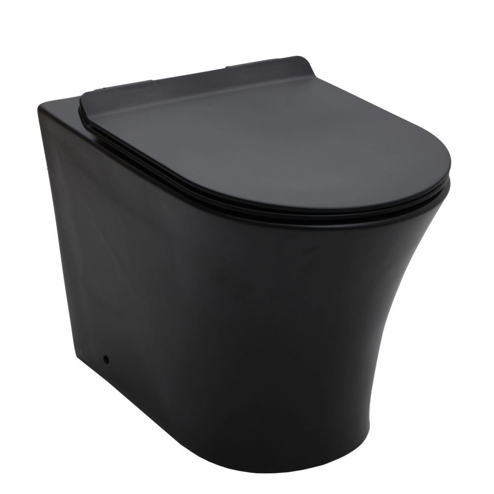 Vaso Sanitário Convencional Tanzanita - Preto