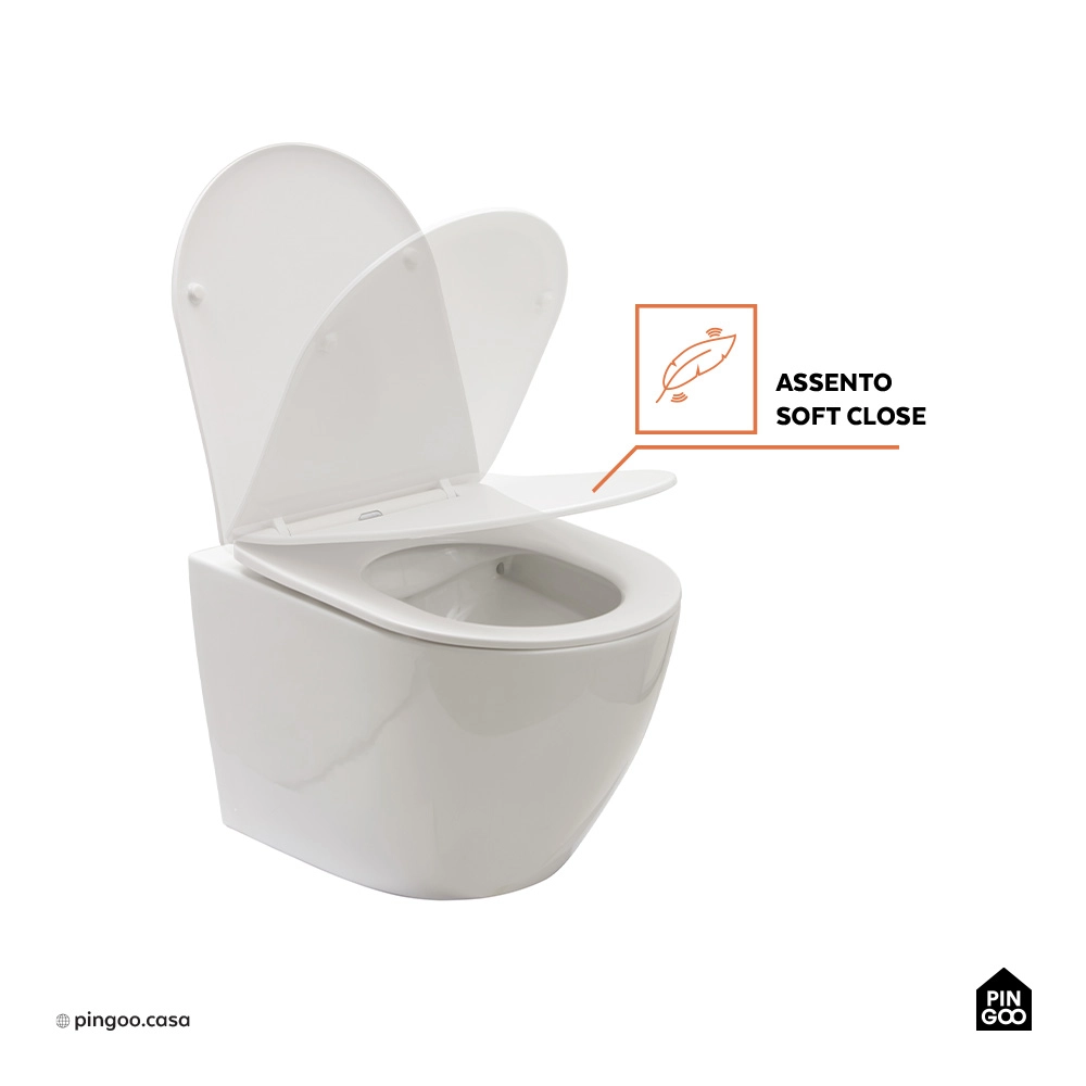 Vaso Sanitário Suspenso Saída Horizontal Hematita Branco