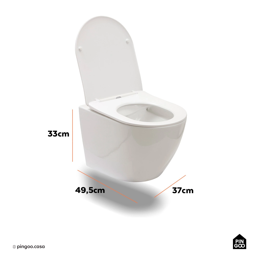 Vaso Sanitário Suspenso Saída Horizontal Hematita Branco