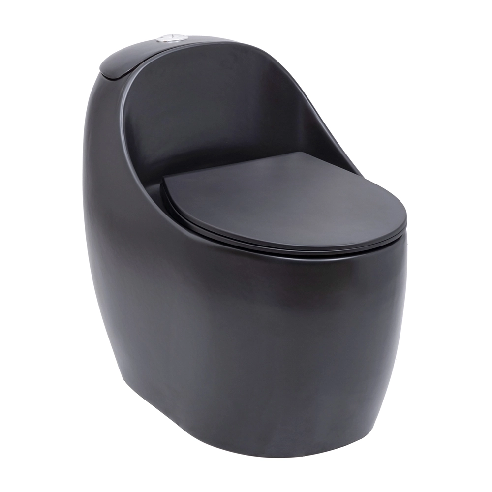 Vaso Sanitário Monobloco Caixa Acoplada Privada Aquarela Preto