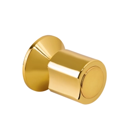 Acabamento de registro redondo Guajará Pingoo.casa - Dourado