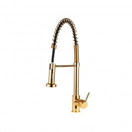 Torneira para Cozinha Gourmet Misturador Monocomando Envira Dourado