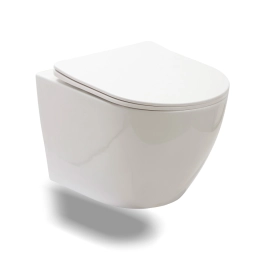 Vaso Sanitário Suspenso Saída Horizontal Hematita Branco