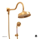 Ducha Chuveiro Redondo de Parede com desviador Trombetas Dourado