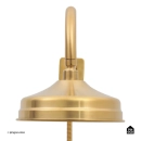 Ducha Chuveiro Redondo de Parede com desviador Trombetas Dourado