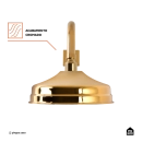 Ducha Chuveiro Redondo de Parede com desviador Trombetas Dourado