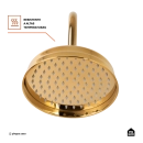 Ducha Chuveiro Redondo de Parede com desviador Trombetas Dourado