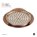 Ducha Chuveiro Redondo Retrô Inox 20cm Coari Pingoo.casa - Dourado Rose