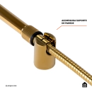 Ducha Manual Piraju Pingoo.casa - Dourado