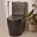 Kit Vaso Sanitário Monobloco Amazonita e Ducha Higiênica para Banheiro Jacuí - Prata e Preto