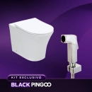 Kit Vaso Sanitário Convencional Tanzanita Branco e Ducha Manual Jacuí Pingoo.casa - Branco e Prata