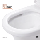 Kit Vaso Sanitário Monobloco Caixa Acoplada Barita e Ducha Manual Apa Pingoo.casa - Branco e Preto