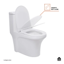 Kit Vaso Sanitário Monobloco Caixa Acoplada Barita e Ducha Manual Apa Pingoo.casa - Branco e Preto