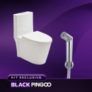 Kit Vaso Sanitário Monobloco Painita e Ducha Manual Apa Pingoo.casa - Branco e Prata