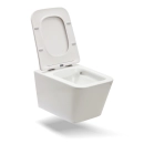Kit Vaso Sanitário Suspenso Saída Horizontal Esmeralda e Ducha Manual Jacuí Pingoo.casa - Branco e Prata