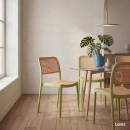 Kit 6 Cadeiras de jantar Maya com design moderno e assento confortável  - Verde