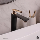Torneira para Banheiro Misturador Monocomando Alta Caeté Preto E Rose