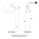 Torneira Para Banheiro Misturador Monocomando Buricá Prata