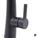 Torneira para Cozinha Gourmet Misturador Monocomando Extensível Juruá Preto