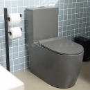 Vaso Sanitário Monobloco Amazonita e Ducha Higiênica para Banheiro Jacuí - Cinza e Prata